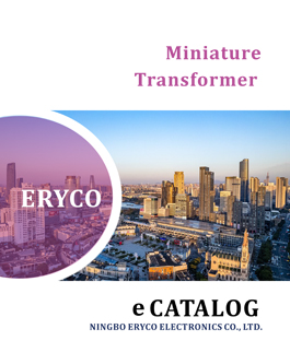 Miniature Transformer